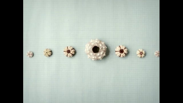 Javelin - Soda Popinski thumbnail