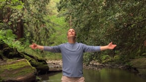 Watch Qi Gong for Better Breathing with Lee Holden Online | Vimeo On Demand  on Vimeo