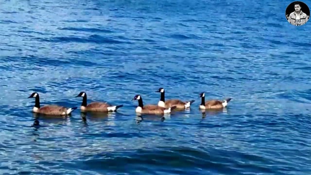 Stanley Park vancouver