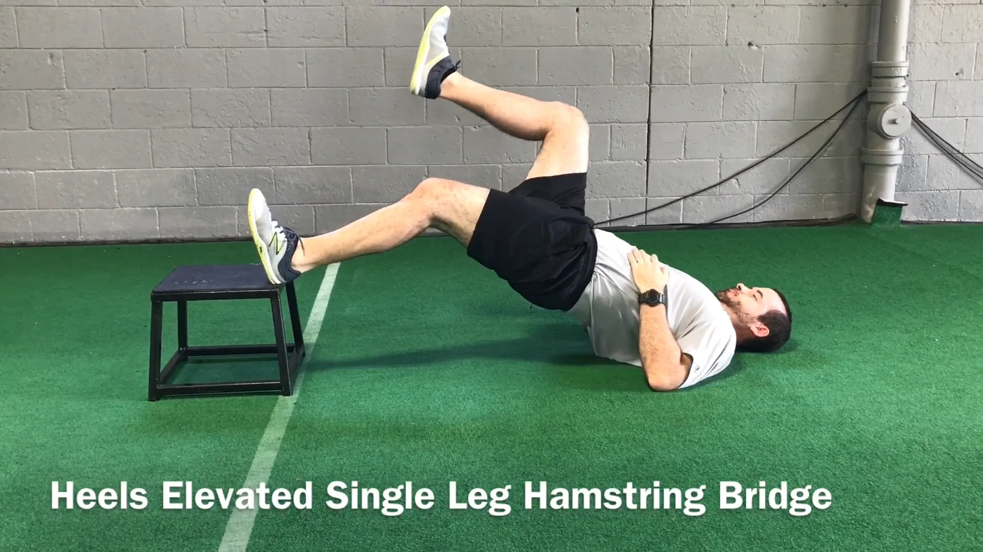 Hamstring bridge online exercise