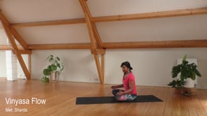 Vinyasa Flow - Pittig