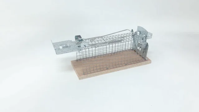 Buy Swissinno Mouse Classic Cage trap 1 pc(s)