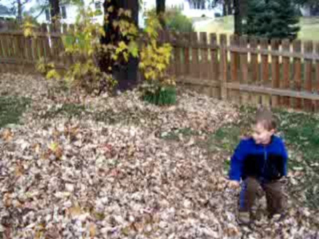 More fall fun on Vimeo