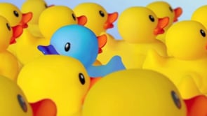 Corporate Communications