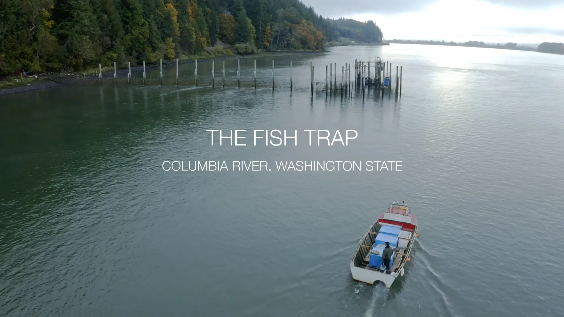 THE FISH TRAP on Vimeo