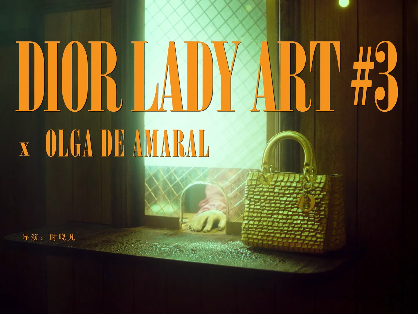 Lady dior 2024 olga de amaral