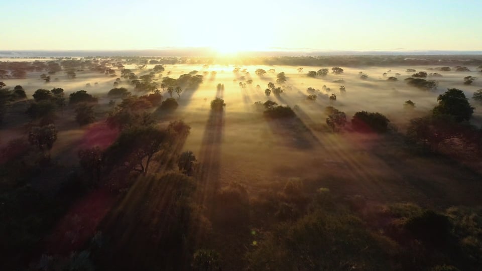 Parque Nacional de Gonrongosa, Mozambique
