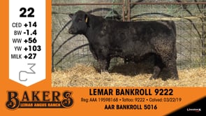 Lot #22 - LEMAR BANKROLL 9222