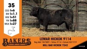 Lot #35 - LEMAR HICKOK 9114