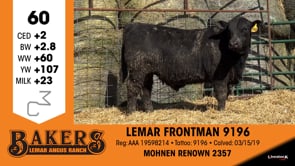 Lot #60 - LEMAR FRONTMAN 9196