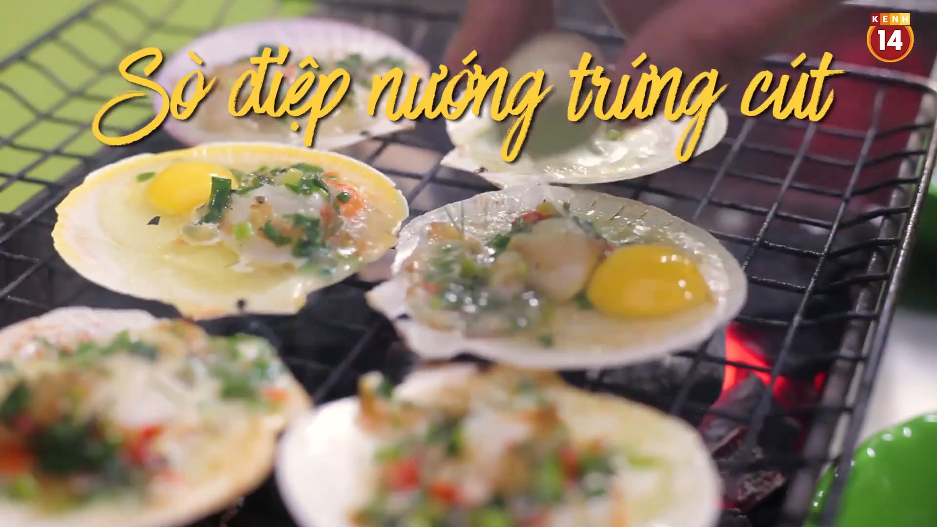 Sò điêp nướng chim cút