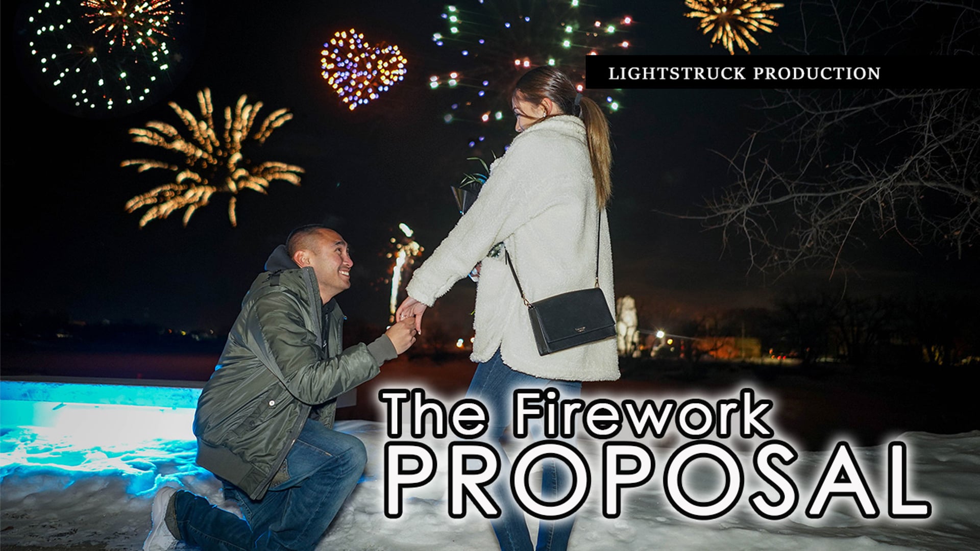 The Firework Proposal by Alex