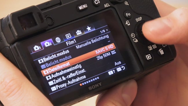 Sony Alpha 6600 & A7 iii Beispielsettings