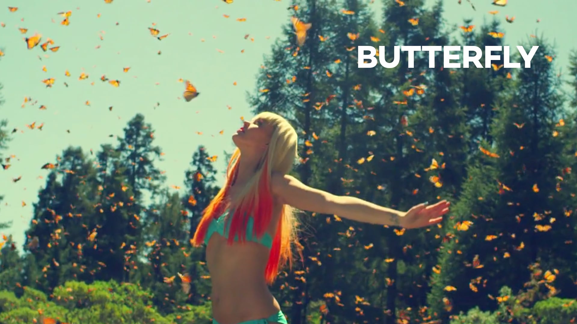 THE BUTTERFLY STORY (COMMERCIAL)