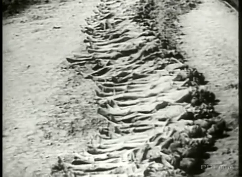 Watch Nazi Concentration Camps Online |   On Demand  