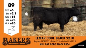 Lot #89 - LEMAR CODE BLACK 9210