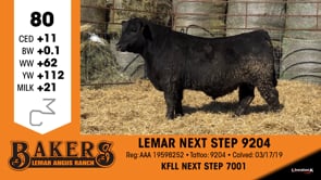 Lot #80 - LEMAR NEXT STEP 9204