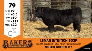 Lot #79 - LEMAR INTUITION 9039