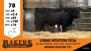Lot #78 - LEMAR INTUITION 9036