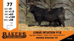 Lot #77 - LEMAR INTUITION 918