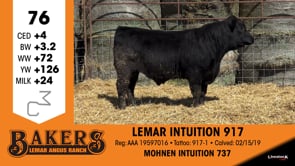 Lot #76 - LEMAR INTUITION 917