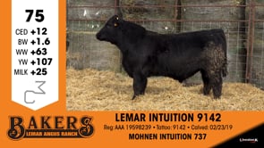 Lot #75 - LEMAR INTUITION 9142