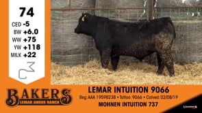 Lot #74 - LEMAR INTUITION 9066