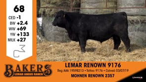Lot #68 - LEMAR RENOWN 9176