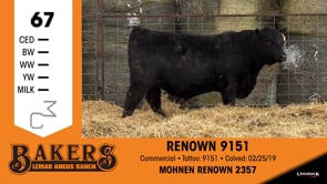 Lot #67 - RENOWN 9151