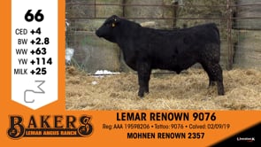 Lot #66 - LEMAR RENOWN 9076