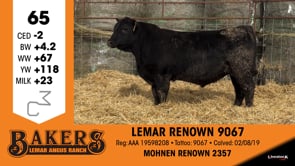 Lot #65 - LEMAR RENOWN 9067