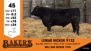 Lot #45 - LEMAR HICKOK 9132