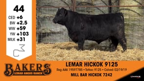 Lot #44 - LEMAR HICKOK 9125