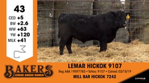 Lot #43 - LEMAR HICKOK 9107