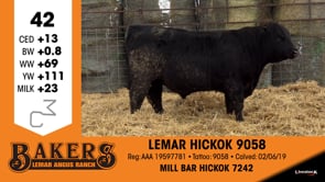 Lot #42 - LEMAR HICKOK 9058