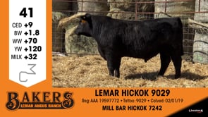 Lot #41 - LEMAR HICKOK 9029