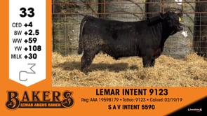 Lot #33 - LEMAR INTENT 9123