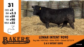 Lot #31 - LEMAR INTENT 9090