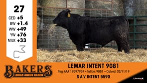 Lot #27 - LEMAR INTENT 9081