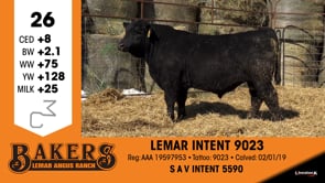 Lot #26 - LEMAR INTENT 9023