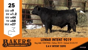 Lot #25 - LEMAR INTENT 9019