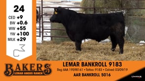 Lot #24 - LEMAR BANKROLL 9183