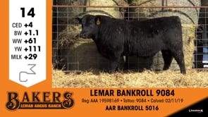 Lot #14 - LEMAR BANKROLL 9084