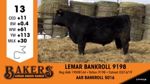 Lot #13 - LEMAR BANKROLL 9198