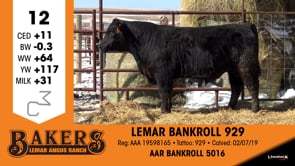 Lot #12 - LEMAR BANKROLL 929