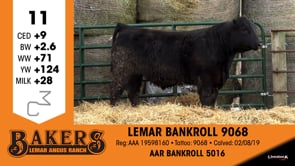 Lot #11 - LEMAR BANKROLL 9068