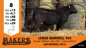Lot #8 - LEMAR BANKROLL 9041