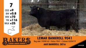Lot #7 - LEMAR BANKROLL 9041