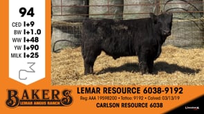 Lot #94 - LEMAR RESOURCE 6038-9192