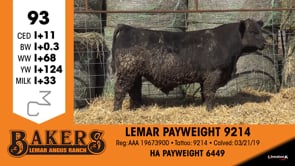 Lot #93 - LEMAR PAYWEIGHT 9214